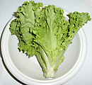 Lettuce Nutrition