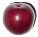 plum-fruit.jpg