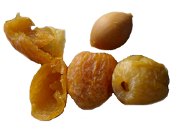 ginkgo nut and fruits