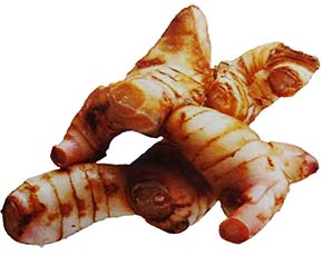 What is Galangal? Your Guide to the Spice of Life - Healthy Hildegard