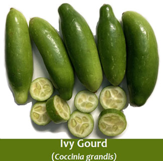 Nutritional benefits and Little Known Cucumber Fun Facts