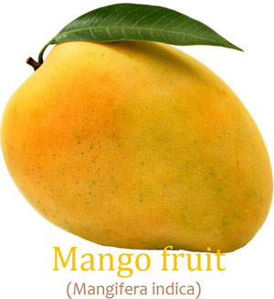 fruits pictures mango