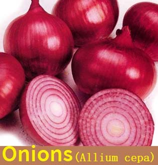 8 impressive Onion Nutrition facts and benefits