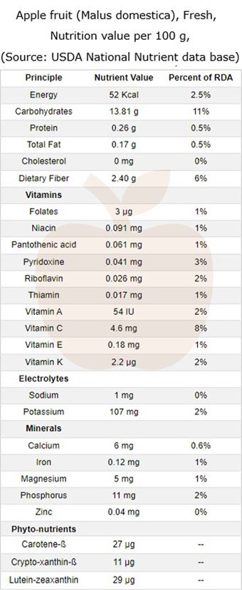 apple nutrition facts per 100 grams
