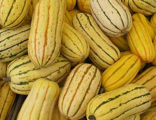 9 Amazing Delicata Squash Nutrition Facts And Health Benefits