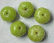 gooseberries nutrition facts and health benefits gooseberries nutrition facts and health