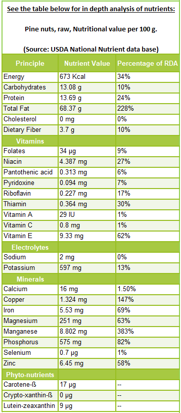 7 unique nutrition facts and health benefits of Pine nuts