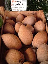 Mamey Sapote Nutrition Facts And Health Benefits